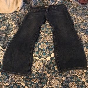 size 6 levi bootcut jeans